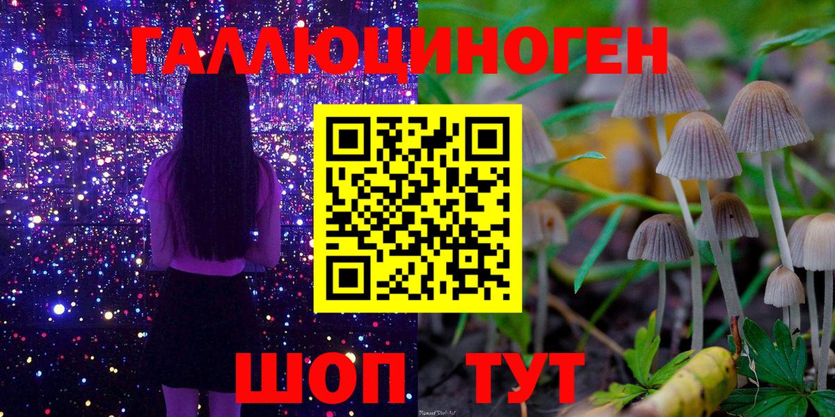 Каменка  Псилоцибиновые грибы Magic Shrooms  Псилоцибиновые грибы MAGIC MUSHROOMS  Вход с VPN 
